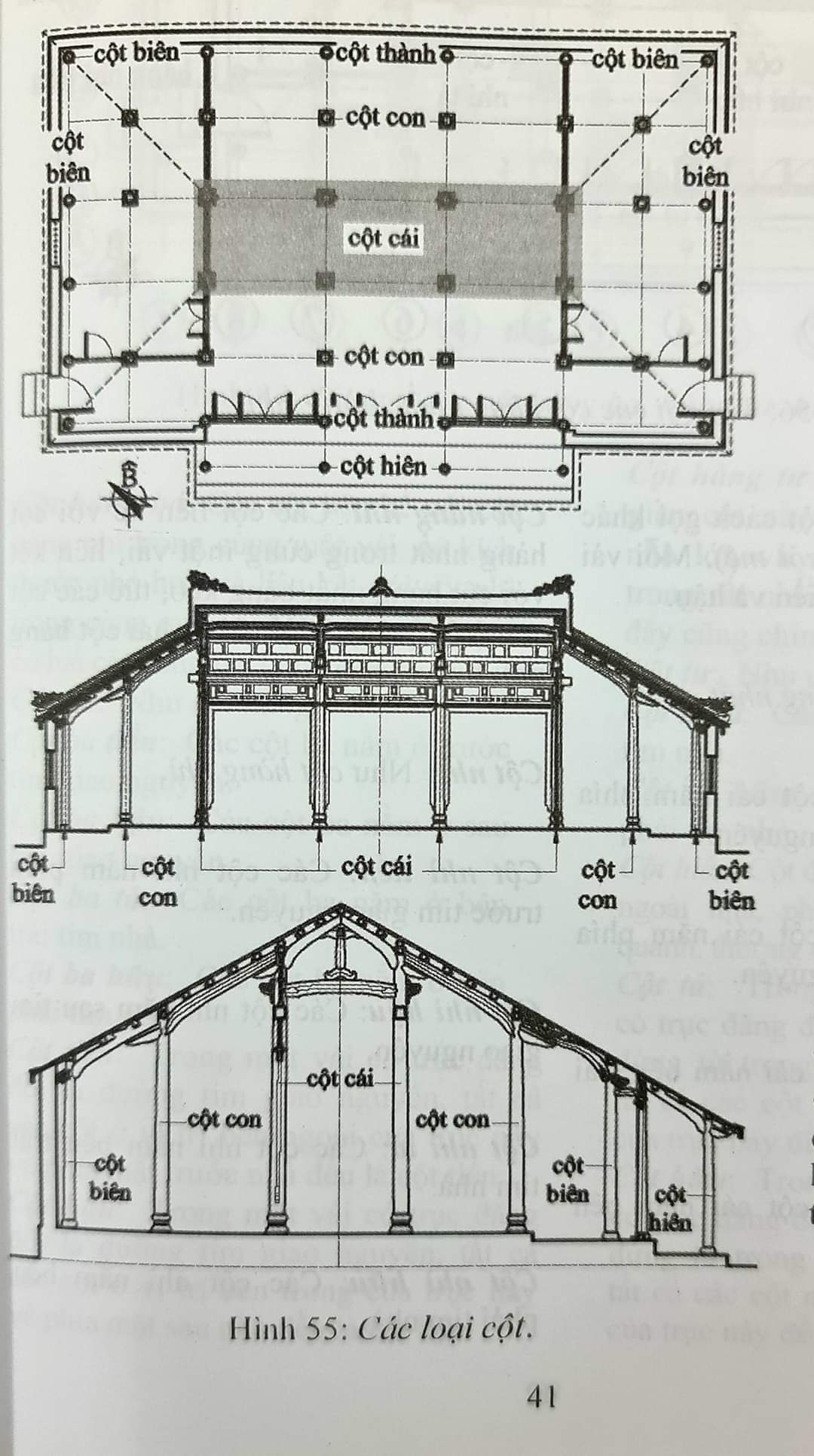 Các loại cột